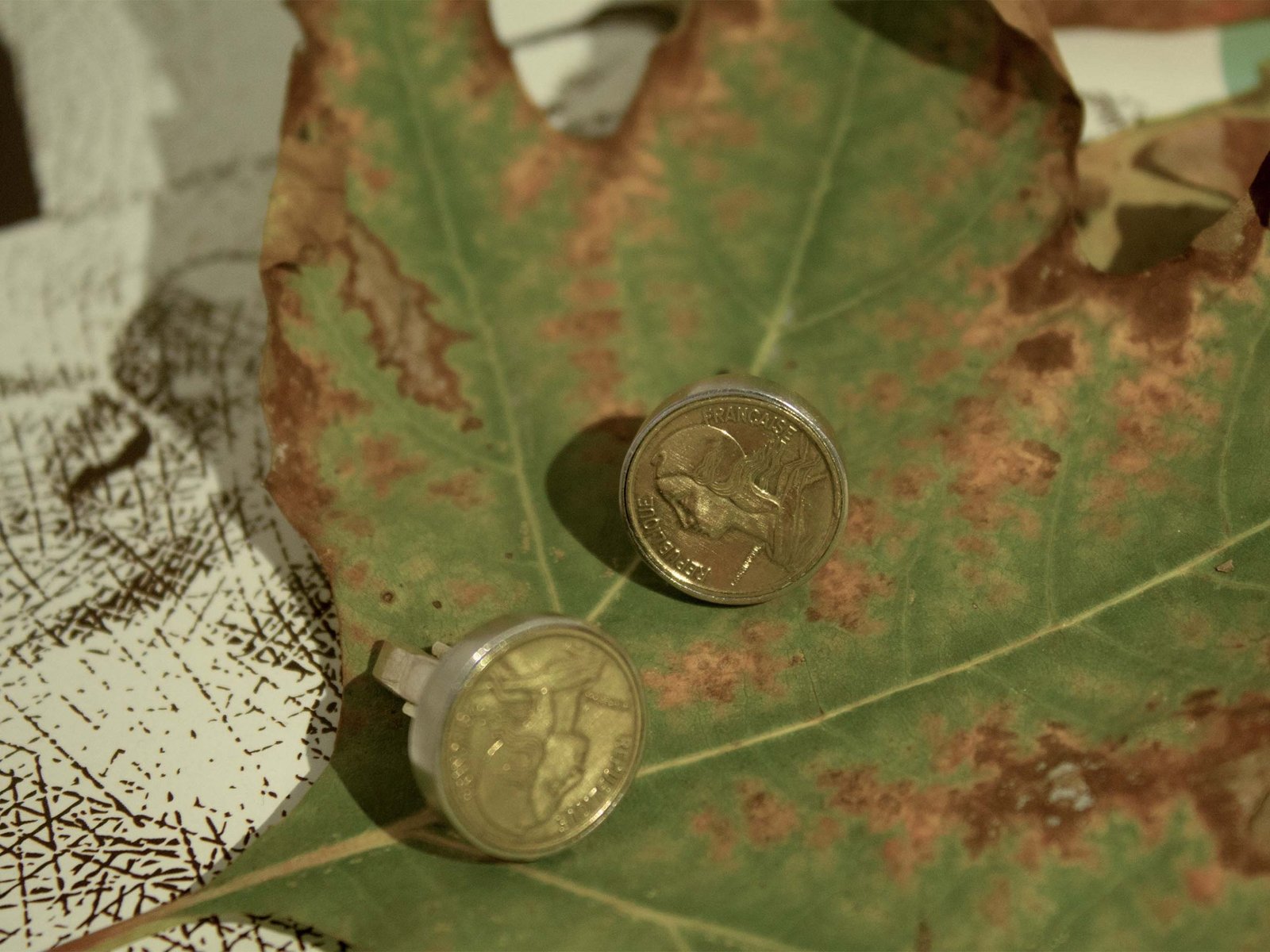 C2020G11FR18 6 C2020G11FR18 6 scaled